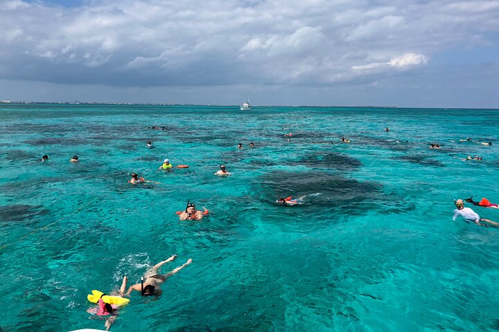 3-Stop Stingray City, Reef Snorkel & Starfish Point Tour