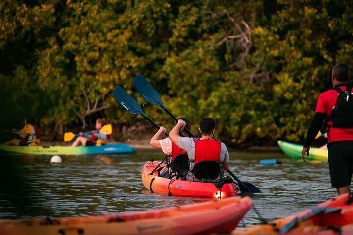 Two-in-One Day Trip: El Yunque and Bio Bay Tour with Transport