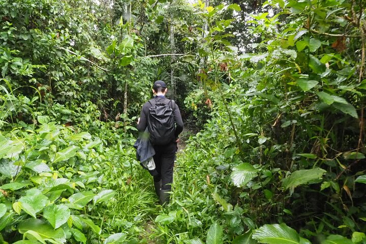 5-Day Author’s Amazon: Private Trek&Kayak Immersion (Best Seller)