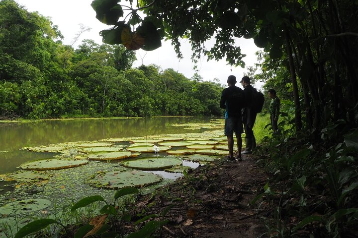 5-Day Author’s Amazon: Private Trek&Kayak Immersion (Best Seller)