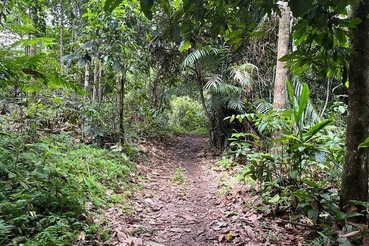 5-Day Author’s Amazon: Private Trek&Kayak Immersion (Best Seller)