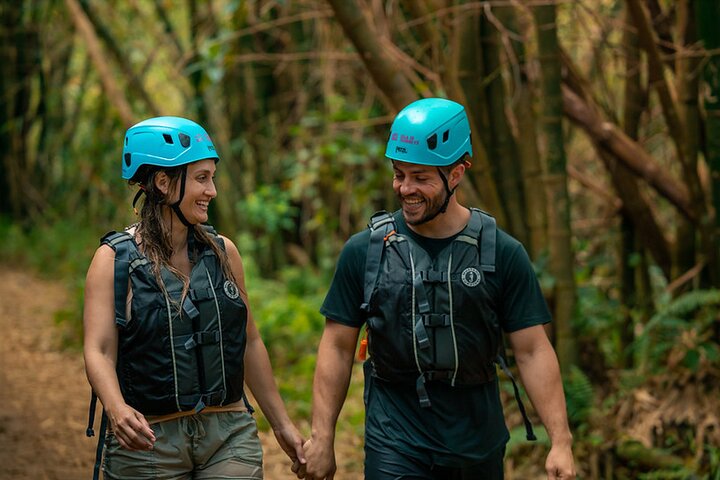 Two-in-One Day Trip: El Yunque and Bio Bay Tour with Transport