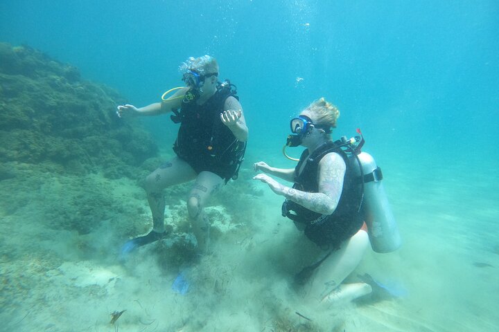 Beginner Scuba Diving Guided Tour - No Experience Required
