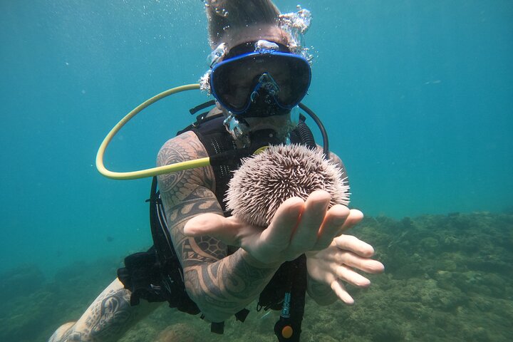 Beginner Scuba Diving Guided Tour - No Experience Required