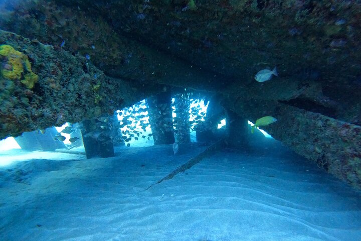 Beginner Scuba Diving Guided Tour - No Experience Required