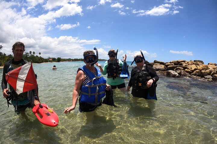 Coral Reef Snorkel Adventure with Photos and Videos
