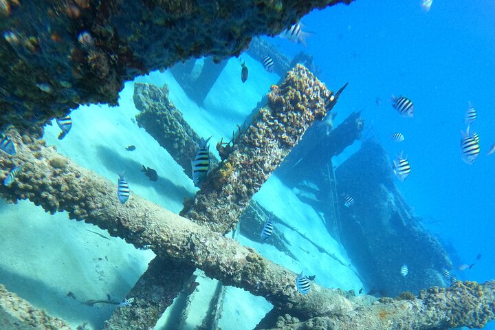 Coral Reef Snorkel Adventure with Photos and Videos