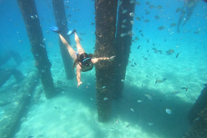 Coral Reef Snorkel Adventure with Photos and Videos
