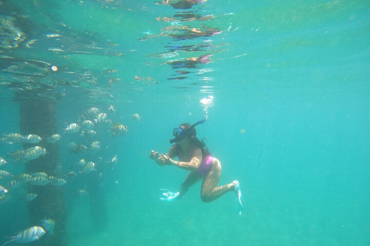 Coral Reef Snorkel Adventure with Photos and Videos