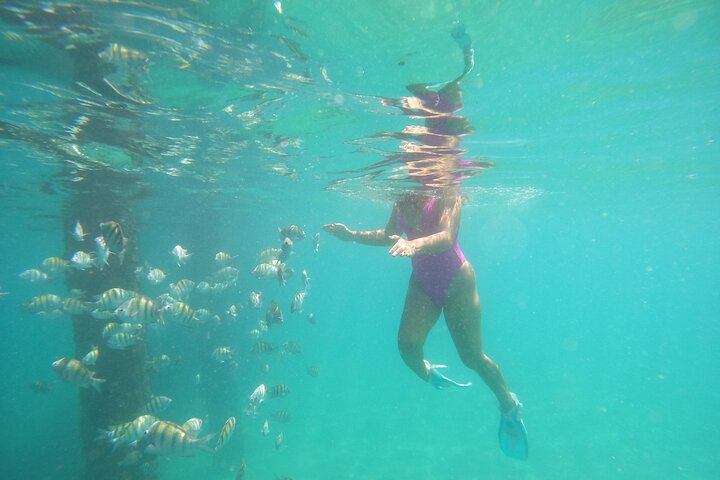 Coral Reef Snorkel Adventure with Photos and Videos