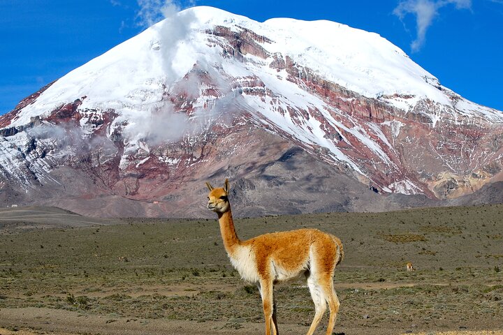 Chimborazo Summit - 2 Days Private Tour