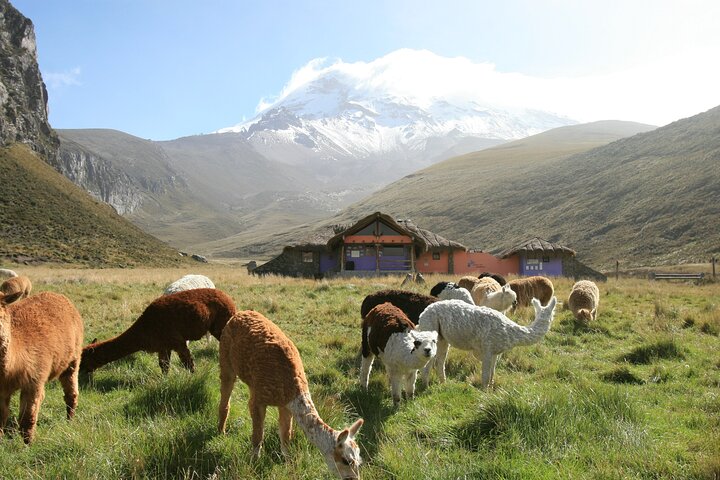 Chimborazo Summit - 2 Days Private Tour