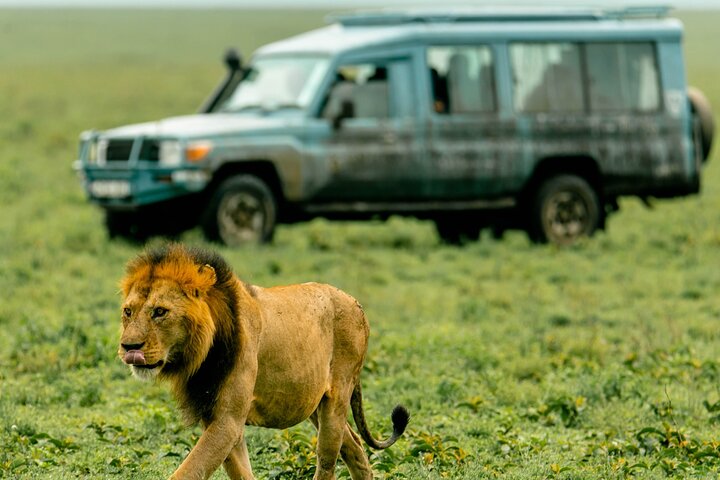 Balloon Safari & Bush Breakfast in Tarangire - Miracle Experience