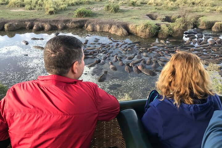 Balloon Safari & Bush Breakfast in Tarangire - Miracle Experience