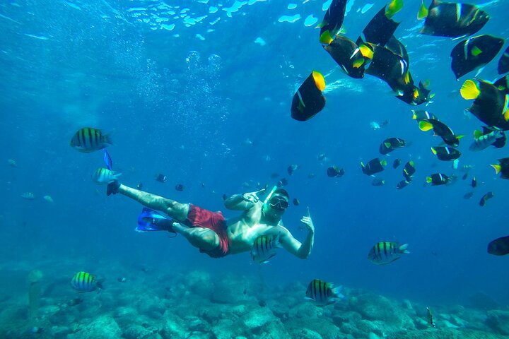 Flamingo, Guanacaste All Inclusive Catamaran Snorkel Adventure