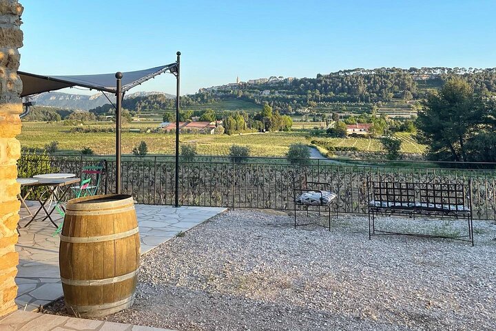 Tasting Bandol Wines & Visit of Cellar (in English)