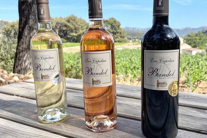 Tasting Bandol Wines & Visit of Cellar (in English)