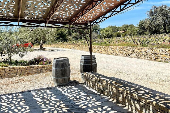 Tasting Bandol Wines & Visit of Cellar (in English)