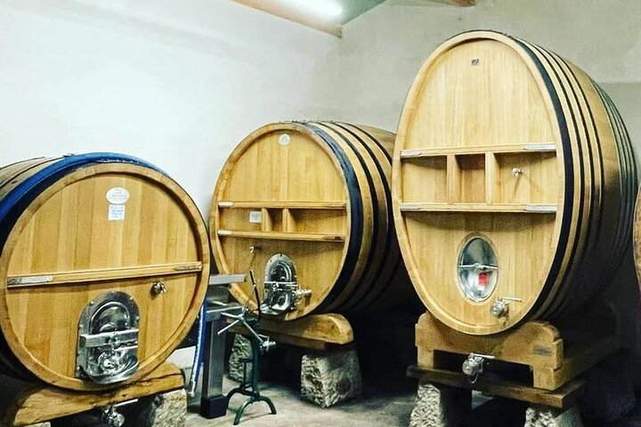 Tasting Bandol Wines & Visit of Cellar (in English)