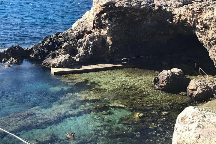 Half Day Private Tour around the Island in Malta