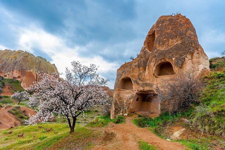 Turkish Delight Tour: Pamukkale, Ephesus, Cappadocia & Camel Ride
