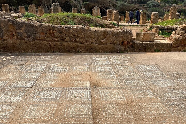 Private Day Tour to the Roman Ruins of Tipaza
