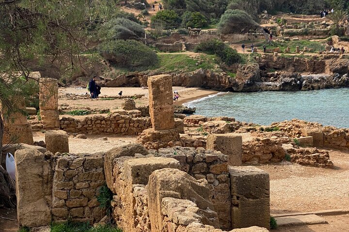 Private Day Tour to the Roman Ruins of Tipaza