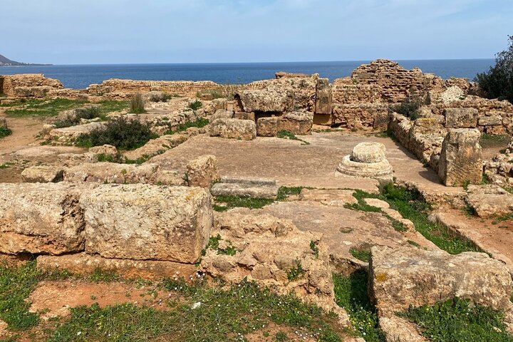 Private Day Tour to the Roman Ruins of Tipaza