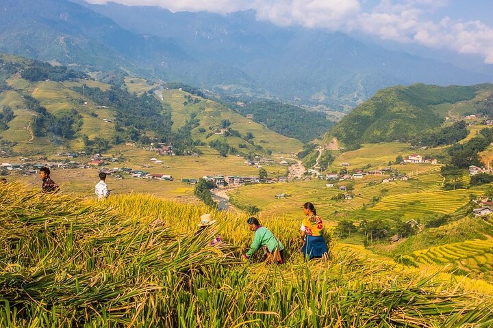 Sapa - Lao Chai -Ta Van full day trekking