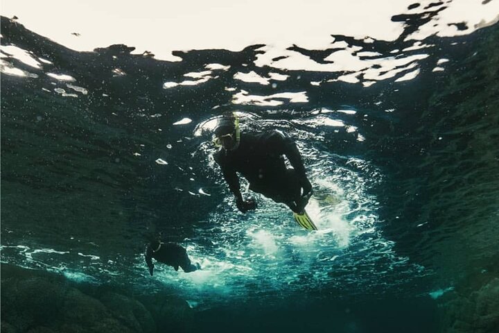 Family Snorkeling Tour
