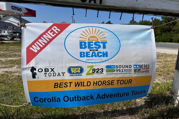 2-hour Outer Banks Wild Horse Tour by 4WD Truck