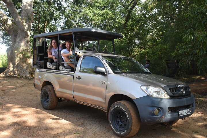 Half Day Safari Guided Tour