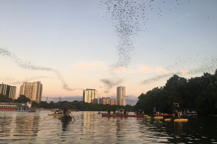 Downtown Austin Sunset Kayak Tour with 1.5 Million Bats