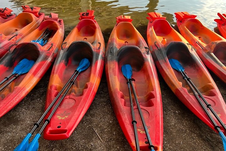 Downtown Austin Sunset Kayak Tour with 1.5 Million Bats