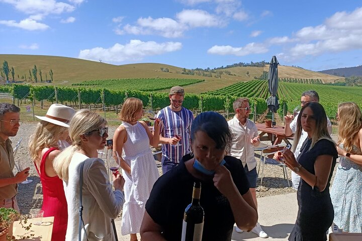 Melbourne: Yarra Valley Wine, Gin, Whisky and Chocolate Tour