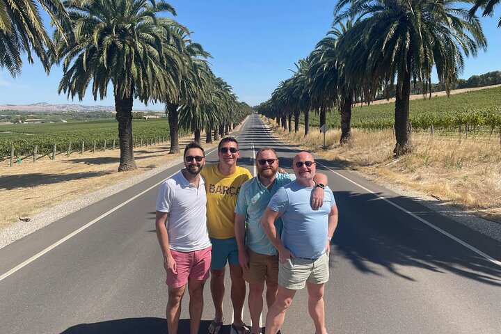 Barossa Valley Premium Wine Tasting Experience with Winery Lunch