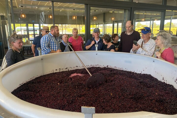 Barossa Valley Premium Wine Tasting Experience with Winery Lunch