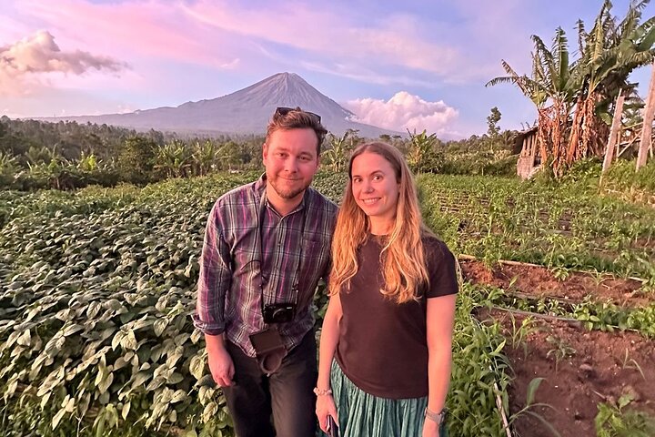 From Yogyakarta: Mount Bromo Sunrise and ijen crater Blue Fire - 3 Days