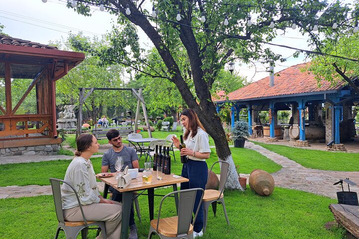 Kakheti - Small wineries and family-cooked lunch • Private tour