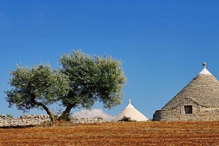 Locorotondo, Alberobello, Martina Franca departing from Taranto