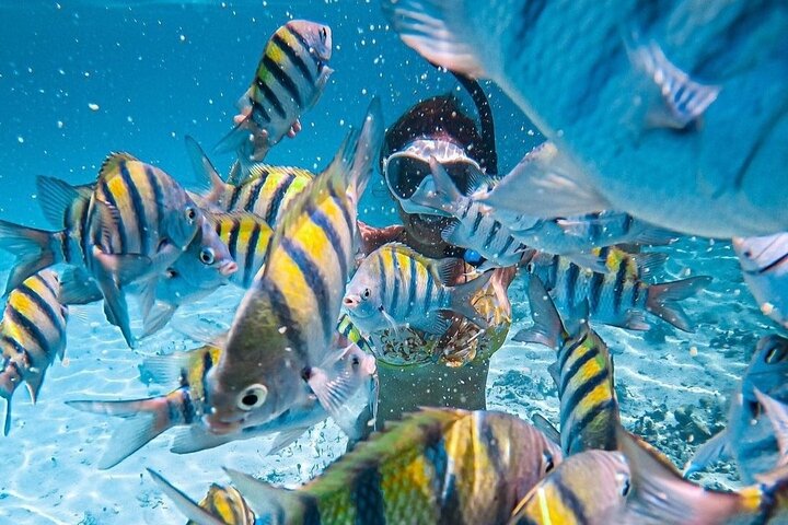 Boat and Snorkel Tour to 5 Islands of Los Arcos