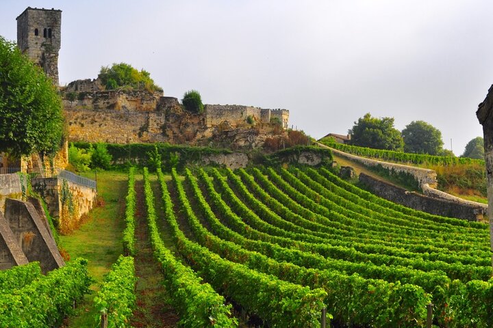 Saint-Émilion Wine Tour By Premium Electric Bike, Lunch Included