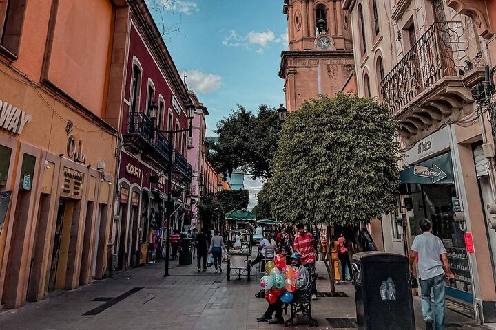 Private Tour to Leon From Guanajuato City