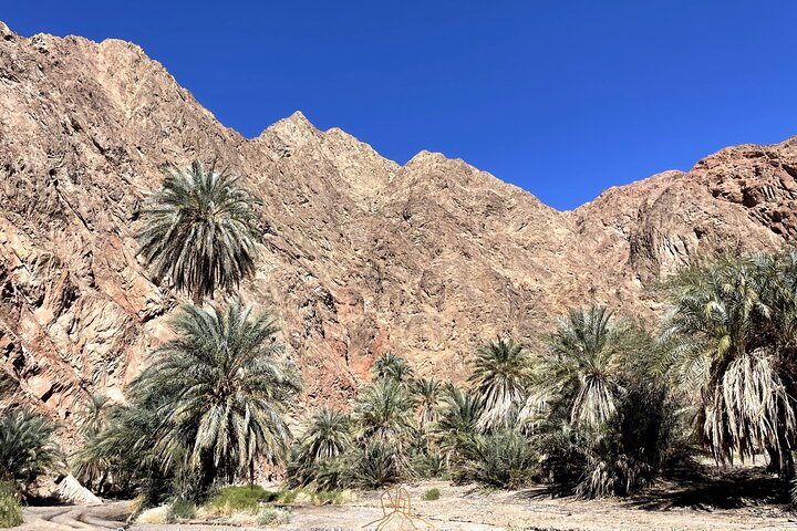 Walk In Moses' Footsteps - Tour between Tabuk and The Red Sea