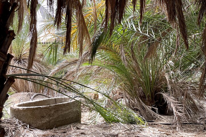 Walk In Moses' Footsteps - Tour between Tabuk and The Red Sea