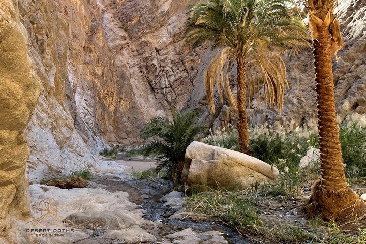Walk In Moses' Footsteps - Tour between Tabuk and The Red Sea