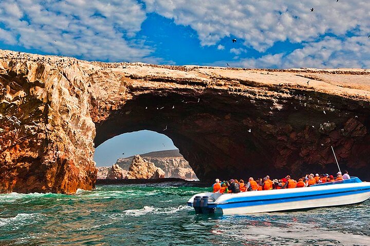 Day Tour From Lima: Paracas, Huacachina, Pisco Vineyard & Sunset