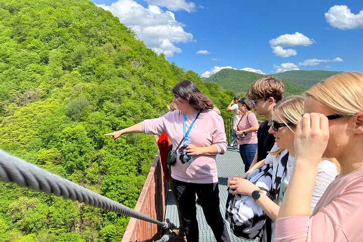 From Kutaisi: Martvili & Okatse Canyons & Cave Guided Tour