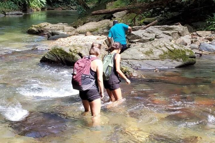Avocat Waterfall and Maracas Bay Experience