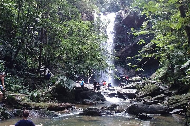 Avocat Waterfall and Maracas Bay Experience